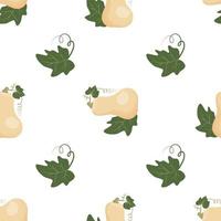 Seamless autumn pattern with white pumpkins.Vector illustration. Light background. vector