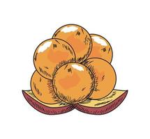 cloudberry superfoods icon vector