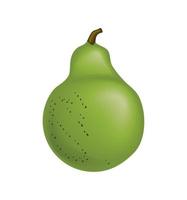 realistic fruit pear vector