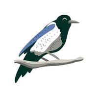 magpie bird of korea vector