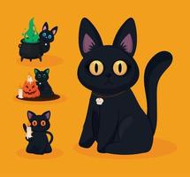 gato de halloween, colección de iconos vector