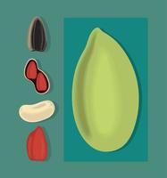 colección de iconos de nueces y frijoles vector