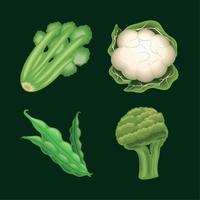 set of realistic vegetables vector