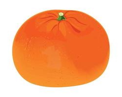 tangerine fruit realistic vector