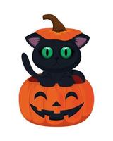 halloween cat on pumpkin vector