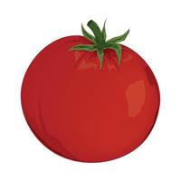 tomato vegetable icon vector