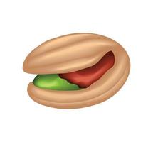 pistachio isolated icon vector