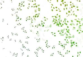 Light green vector backdrop with abstract shapes.