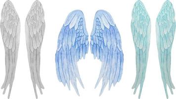 Watercolor set of blueand grey angel wings Realistic wings illustration. vector