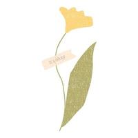 Hand drawn dried flower with washi tape . Vector element isolated on white background