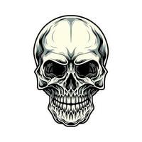 Illustration of skull, hand drawn line with digital color vector