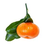 mandarina abjasia fresca en ramita verde aislada foto