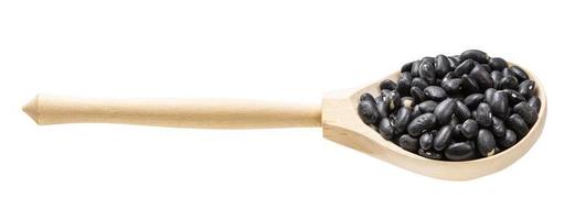 wooden spoon with raw black turtle beans isolated photo
