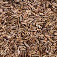 dried caraway seeds close up photo