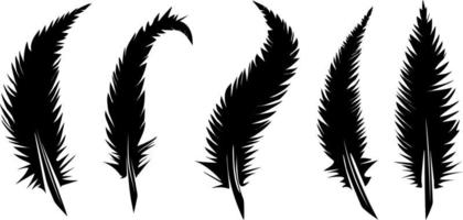 set of feathers vector isolated bird illustration