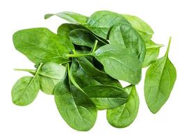 pile of fresh green leaves of Spinach isolated photo