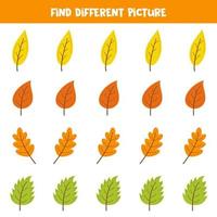 Find autumn leaf which is different from others. Worksheet for kids. vector