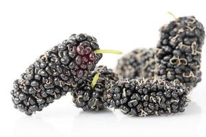 Mulberry isolated on the white photo