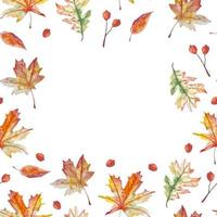 Watercolor autumn leaves and berries frame hand drawn for textile, napkins, decor vector