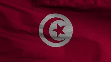 tunisien flagga slinga bakgrund 4k video
