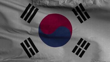 Sud Corea bandiera ciclo continuo sfondo 4k video