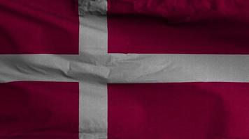 Denmark Flag Loop Background 4K video