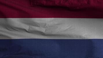 Hintergrund der Schleife der niederländischen Flagge 4k video
