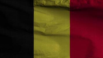 fond de boucle de drapeau belgique 4k video