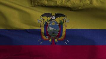 fondo de bucle de bandera de ecuador 4k video