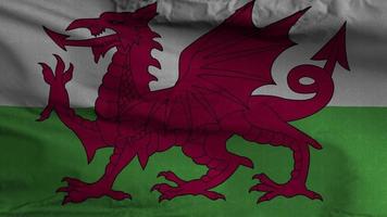 Wales vlag lus achtergrond 4k video