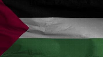 fond de boucle de drapeau palestine 4k video