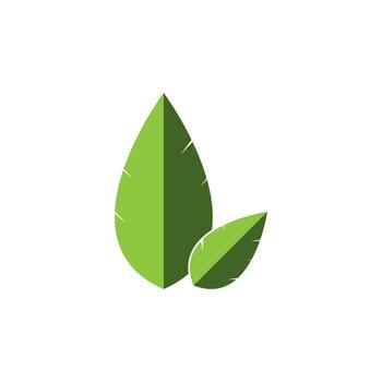 leaf vector icon