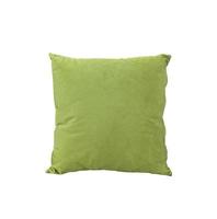 Green pillow on a white background photo