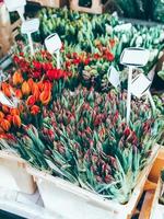 hermosas flores de tulipanes en el mercado foto