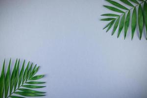 Tropical palm leaves on blue grey paper background photo