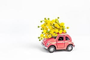 Car toy model delivering bouquet of mimosa flowers photo