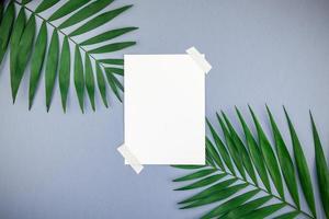 Mockup blank white postcard tropical palm leaves photo