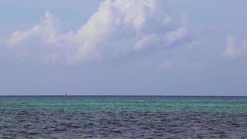 playa tropical mexicana agua turquesa clara playa del carmen mexico. video