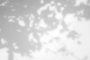 Realistic and organic leaves natural shadow overlay effect on white texture background, for overlay on product presentation, backdrop and mockup photo