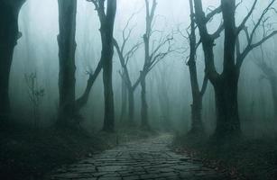 paisaje de bosque de niebla embrujado con fondo oscuro de camino, concepto espeluznante y aterrador, representación 3d foto