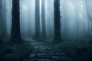 Landscape of haunted mist forest with pathway dark background, creepy and scary concept, 3d rendering photo