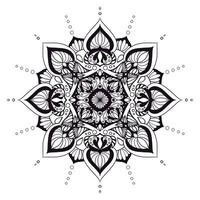 Mandalas geometric pattern, Warm Mandala,Rainbow Flower of Life with Lotus, Flower of Life in Lotus photo