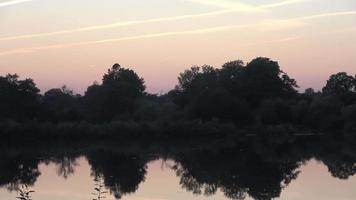 lago Visualizza con calma riflettendo acqua nel il sera con molte di uccello e insetti. silhouette di alberi nel il sfondo.. video