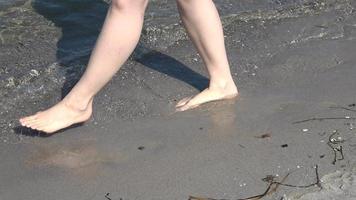 ung kvinna fötter gående i de grund vatten på en baltic hav strand video