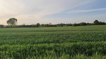 Side view at an agricultural field while driving next to it at sunset. video