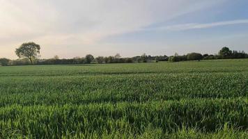 kant visie Bij een agrarisch veld- terwijl het rijden De volgende naar het Bij zonsondergang. video