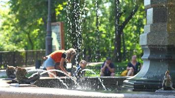 fuente de agua de roca en el parque que fluye video