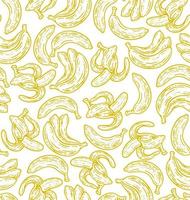 Seamless pattern of banana fruit in doodle vintage style. vector