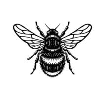 ilustración de abeja melífera en estilo garabato diseño vintage vector