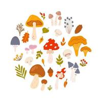 Set of different mushrooms with berries and leaves of trees in circle. Vector flat illustration in hand drawn style on white background